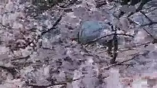 نيك هدسل عبد الرازق