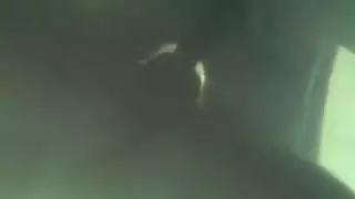 سكس دولي ساخن للبدينات شاهد مباشرة