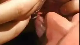 تعمل ناتاليا مجموعة من ثلاثة أشخاص مع الأصدقاء والداعر من جيها، لكسب بعض النقود