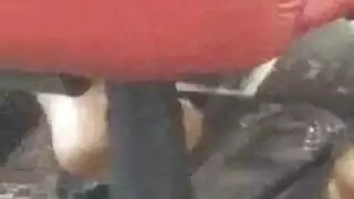ربع الحلمات