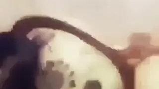 محرز المغربي