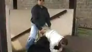 جنس محارم مجنون مع اب ينيك بنته في محطة القطار