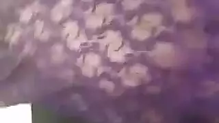 عراقيه تكعد عالزب