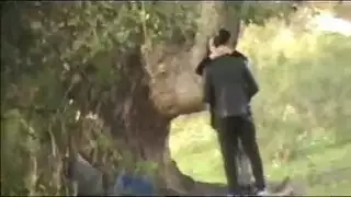 بورن علني: عربيات ينكحن في الخارج