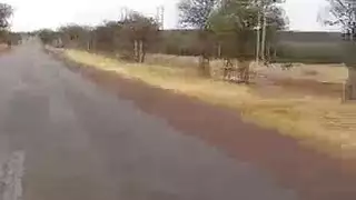 فانتازيا جزائرية: فتاة بدوية كبيرة الثدي تنيك في الكثبان