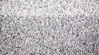 دكتور امراض نساء نائب الرئيس الشرب المجموعة العربدة