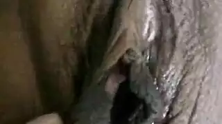 نيك الحمار حيوان