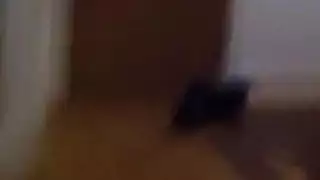 الشقراء الساخنة كارلي جيمس تتحمل فعل جنس حلق عميق مكثف