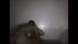 زامل كينيكو حصان