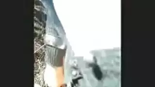 الجمال المحجوب يعطي مصة قوية لفحل عربي