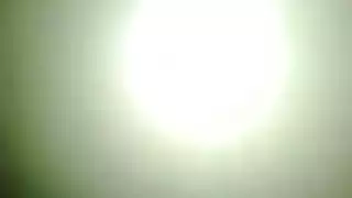 ميشيل وولف تأخذ وجهًا وتُضرب بقوة على الأريكة