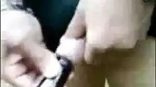 حصانان أسودان في أوجي مملكة الحيوانات