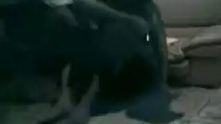 جلسة جنس جامحة للطبيب البرازيلي مع فتاة أفريقية شابة