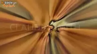 أكبر محفز لكلوديا سمث: جنس فموي عميق ثم ركوب جامح