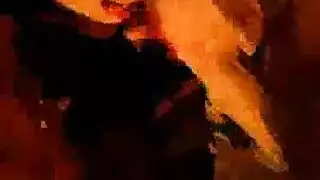 بورن تركي جامح فعل قوي ومكثف